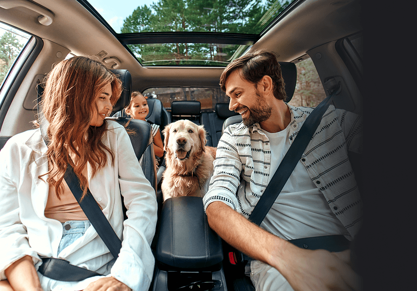 Форма консультации